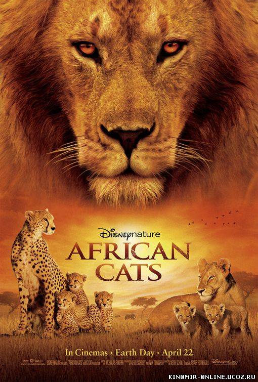 Африканские кошки: королевство смелости (2011) смотреть онлайн