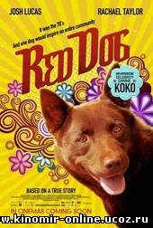 Рыжий пес / Red Dog (2011) смотреть онлайн