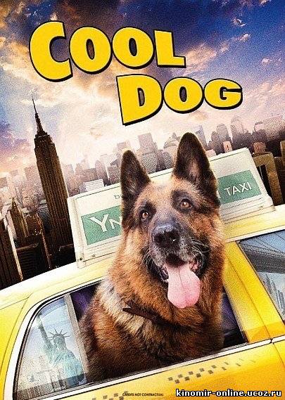 Крутой пес / Cool Dog (2010) смотреть онлайн